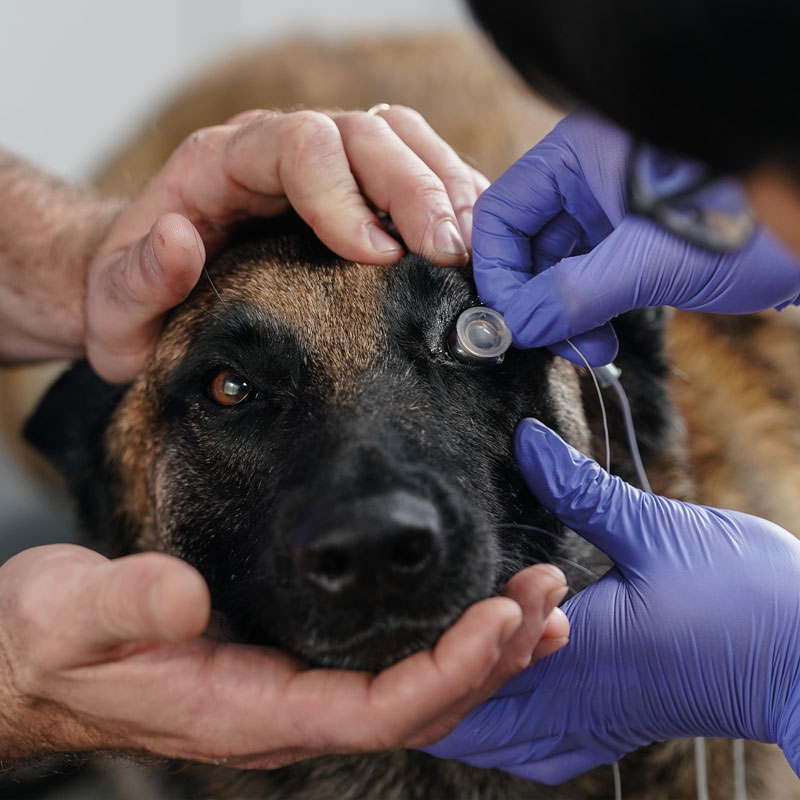 [DK]RM elektrode, i brug 1